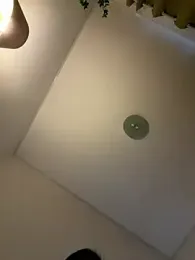 LaudingElastase webcam stripchat model stream image