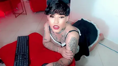 little_star_porn webcam model stream image