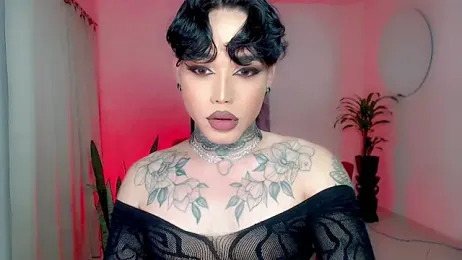 little_star_porn webcam model stream image